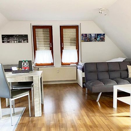 Schoenes 1 Zimmer Apartment Mit Dachterrasse Glauchau Esterno foto
