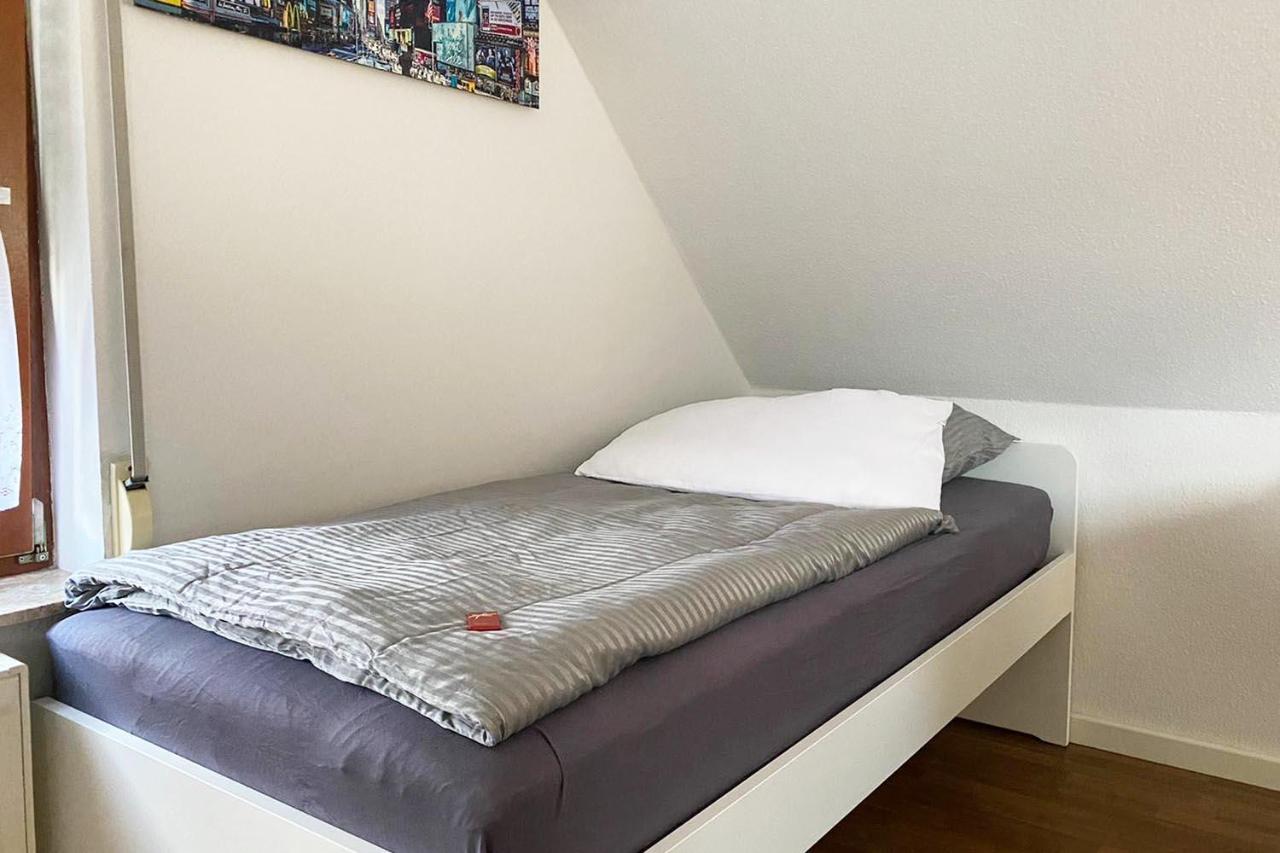 Schoenes 1 Zimmer Apartment Mit Dachterrasse Glauchau Esterno foto
