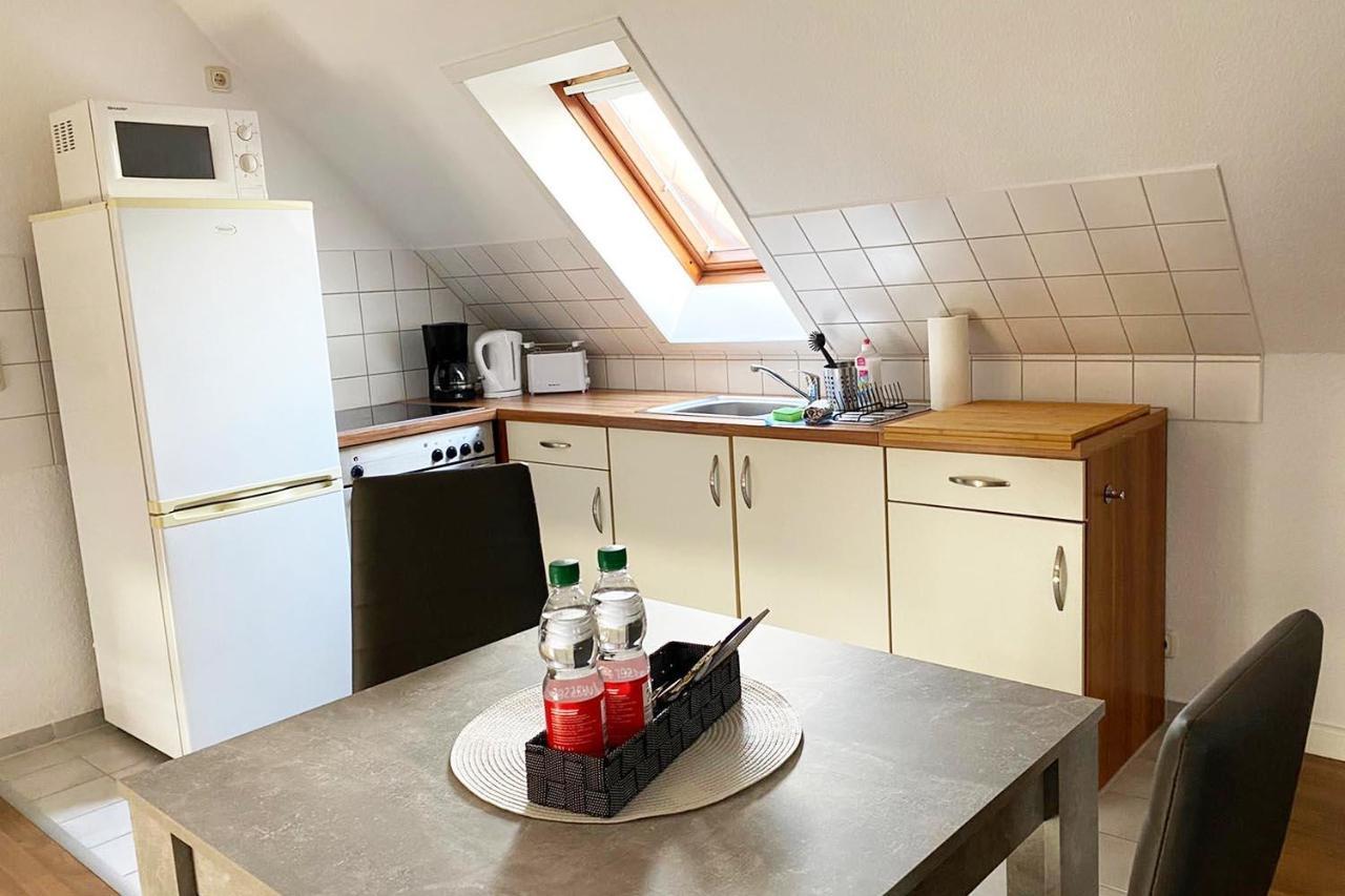 Schoenes 1 Zimmer Apartment Mit Dachterrasse Glauchau Esterno foto